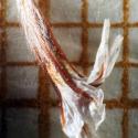 Img.VTax2216.Ex2.Img3