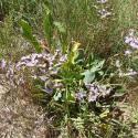 Img.VTax2218.Ex1.Img1