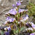 Img.VTax2218.Ex1.Img6