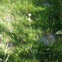 Img.VTax2226.Ex1.Img1