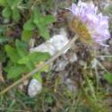 Img.VTax2226.Ex1.Img7