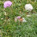 Img.VTax2228.Ex1.Img6