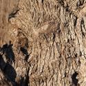 Img.VTax2245.Ex1.Img5