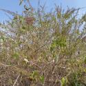 Img.VTax2252.Ex2.Img1