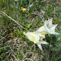 Img.VTax2277.Ex3.Img3
