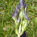 Img.VTax2285.Ex1.Img6