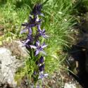 Img.VTax2285.Ex1.Img9