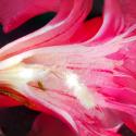 Img.VTax2287.Ex1.Img6