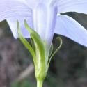 Img.VTax2289.Ex2.Img3