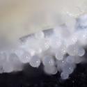 Img.VTax2302.Ex1.Img6