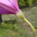 Img.VTax2303.Ex1.Img7