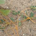 Img.VTax2311.Ex1.Img6