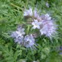 Img.VTax2318.Ex1.Img3