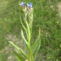 Img.VTax2323.Ex1.Img1