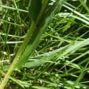 Img.VTax2346.Ex1.Img3