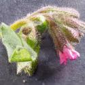 Img.VTax2347.Ex2.Img6