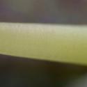 Img.VTax2347.Ex2.Img7