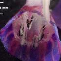 Img.VTax2347.Ex2.Img8