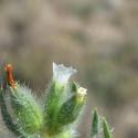 Img.VTax2348.Ex1.Img3