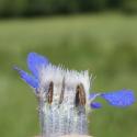 Img.VTax2353.Ex1.Img3