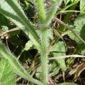 Img.VTax2353.Ex1.Img5