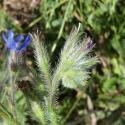 Img.VTax2353.Ex1.Img6