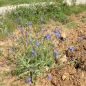 Img.VTax2353.Ex2.Img6