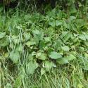Img.VTax2355.Ex1.Img3