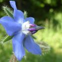 Img.VTax2355.Ex1.Img5