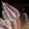 Img.VTax2355.Ex2.Img3