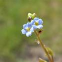 Img.VTax2358.Ex1.Img1