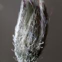 Img.VTax2363.Ex3.Img1
