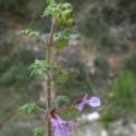 Img.VTax2384.Ex2.Img6
