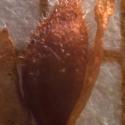 Img.VTax2406.Ex1.Img1