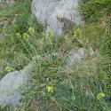 Img.VTax2416.Ex1.Img4