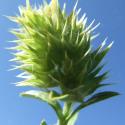 Img.VTax2416.Ex2.Img9