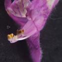 Img.VTax2425.Ex1.Img6