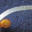 Img.VTax2432.Ex3.Img3