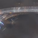Img.VTax2433.Ex2.Img1