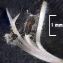 Img.VTax2434.Ex2.Img3