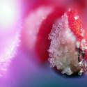 Img.VTax2446.Ex3.Img3