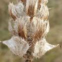Img.VTax2463.Ex1.Img3