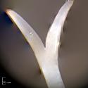 Img.VTax2464.Ex4.Img9