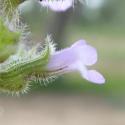 Img.VTax2475.Ex1.Img3