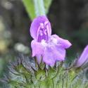 Img.VTax2478.Ex3.Img6