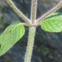 Img.VTax2478.Ex3.Img7