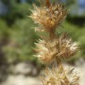 Img.VTax2478.Ex3.Img8