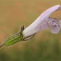 Img.VTax2482.Ex1.Img6
