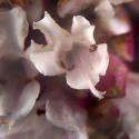 Img.VTax2488.Ex3.Img3
