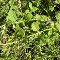 Img.VTax2509.Ex2.Img1
